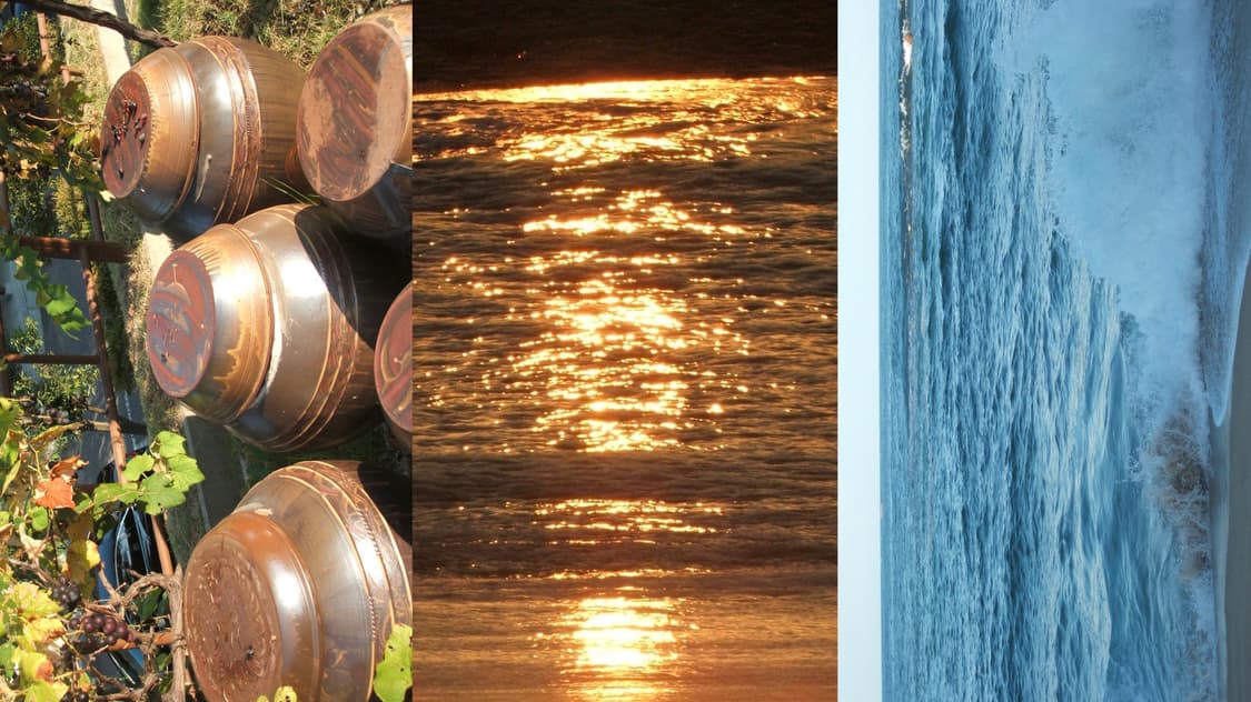 후지필름 파인픽스 f440 상품이미지10