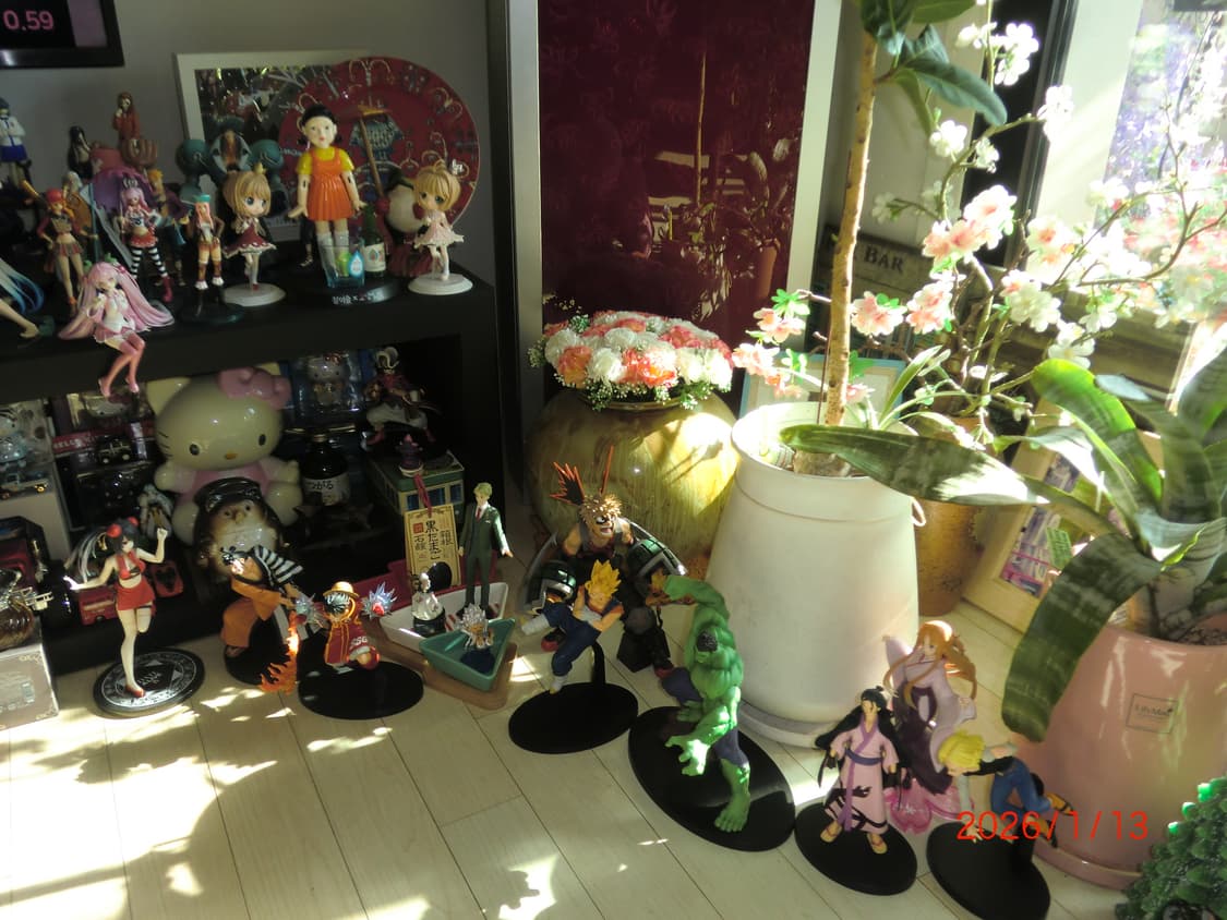 카시오 EXILIM EX-Z2000 디지털 카메라(작례O) 상품이미지9