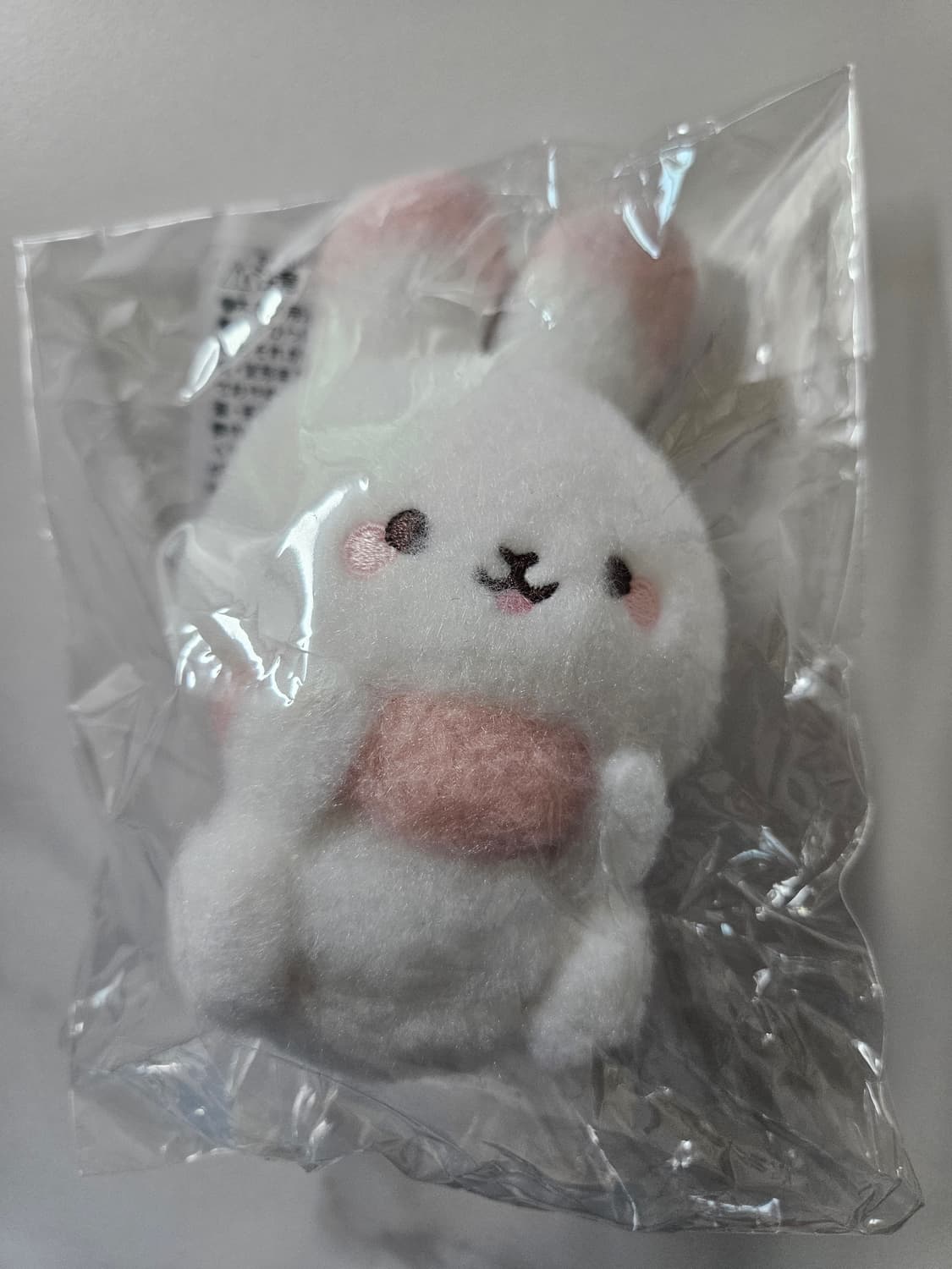 산엑스 토끼  상품이미지1