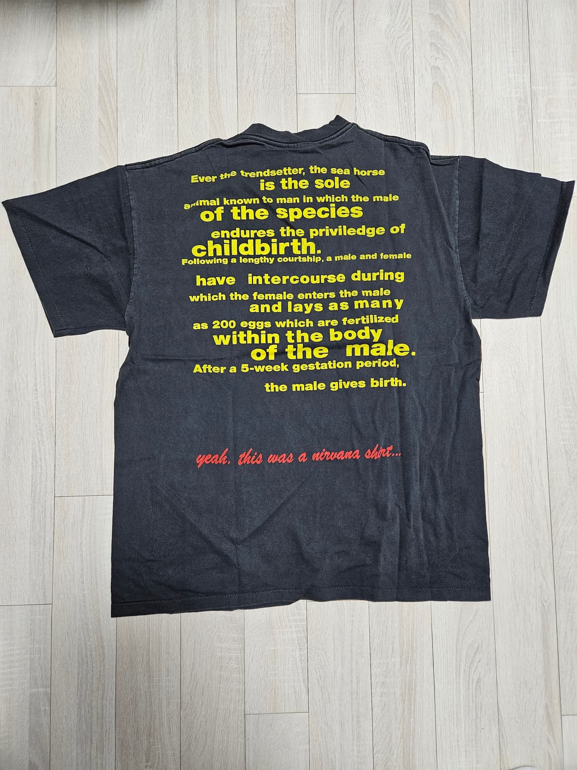 너바나 빈티지티셔츠 엑스라지 사이즈 상품이미지2