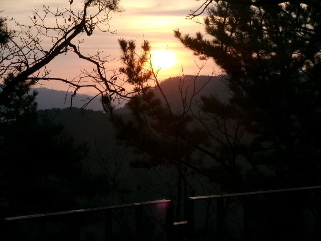 코닥fz55 디카 상품이미지7