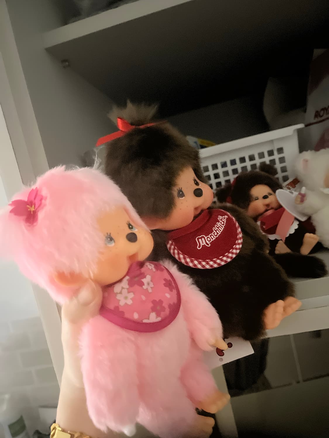 몬치치 4마리 일괄 상품이미지2