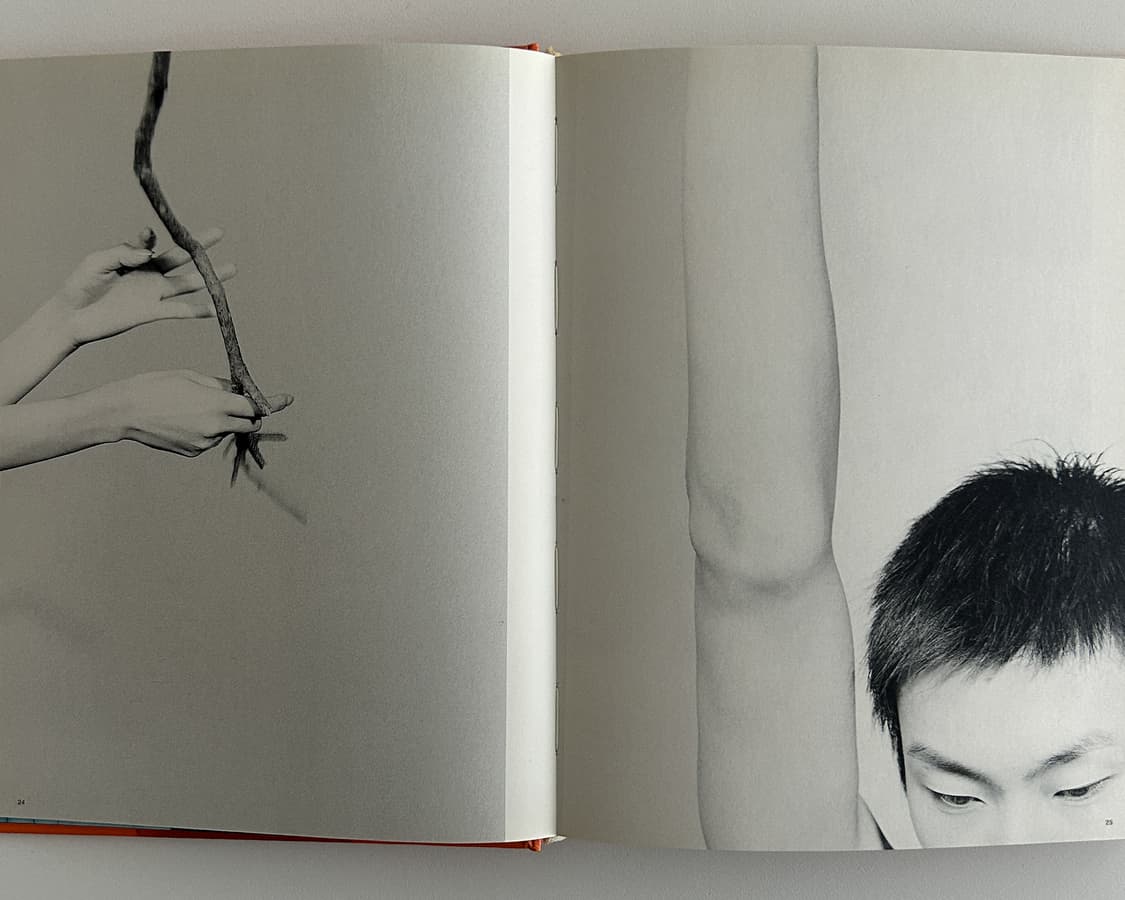 Desire (2000) 상품이미지3