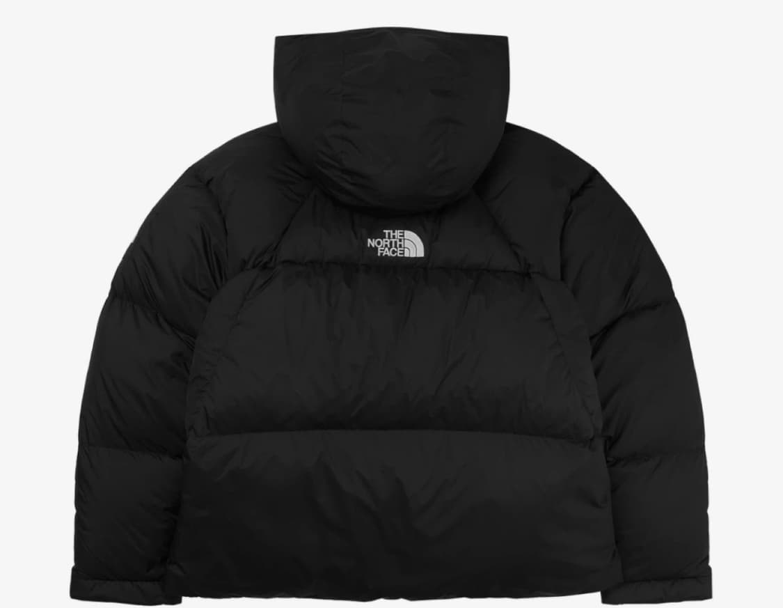 노스페이스 프로젝트 다운 자켓 블랙 M 새상품  상품이미지2