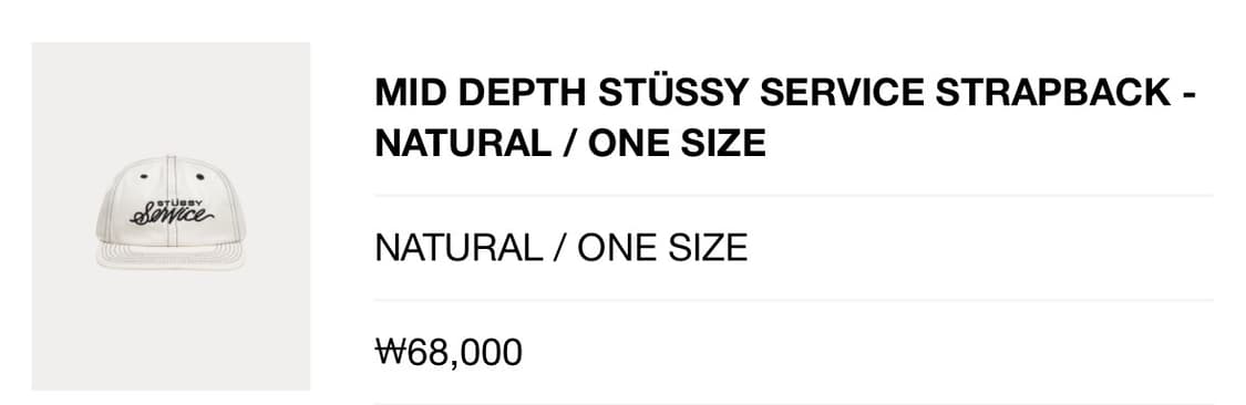 스투시 스트랩 백 상품이미지4