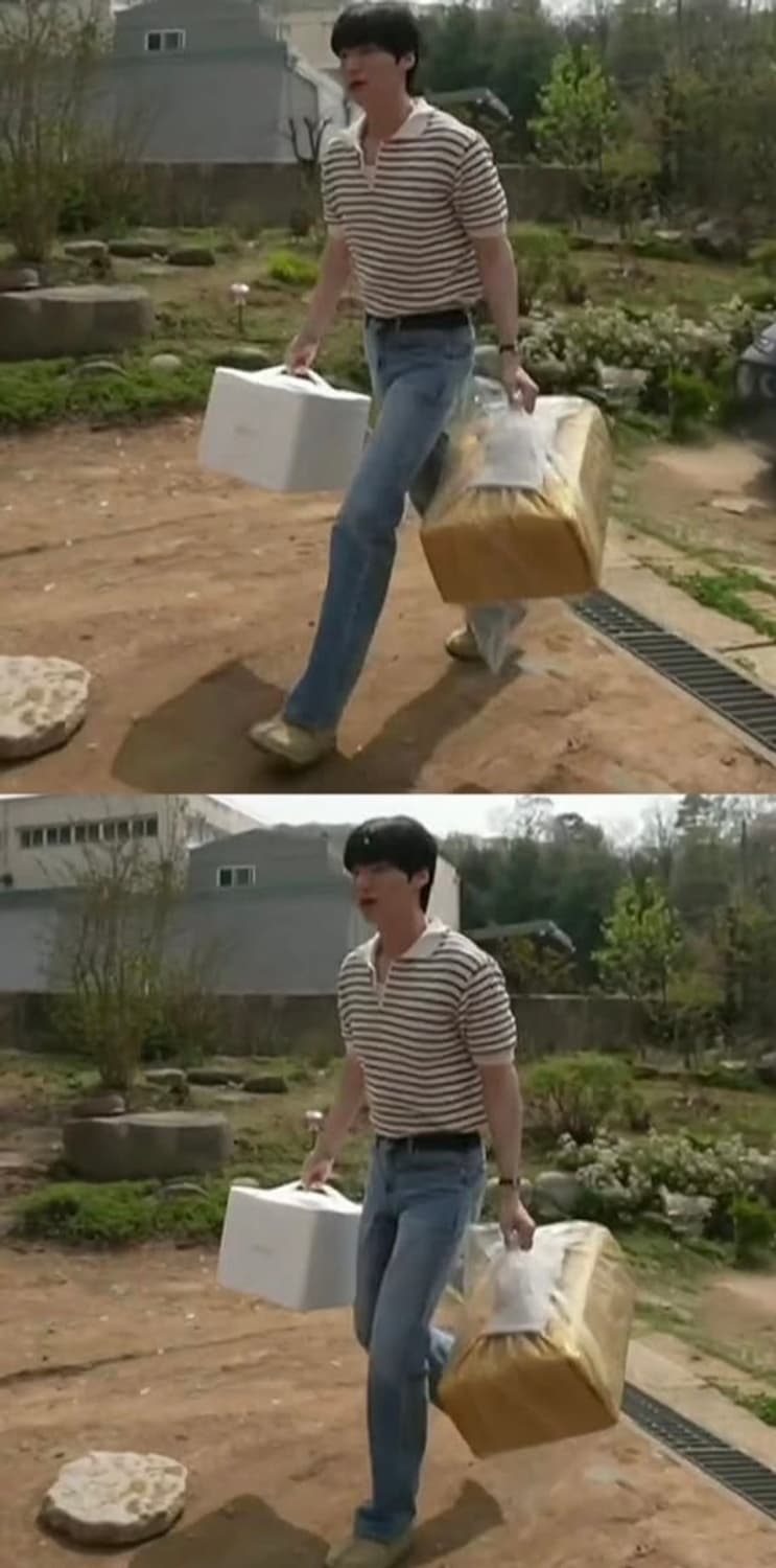 [새상품/M) 노이스(NOICE) 코튼 스트라이프 니트 폴로 셔츠 상품이미지1