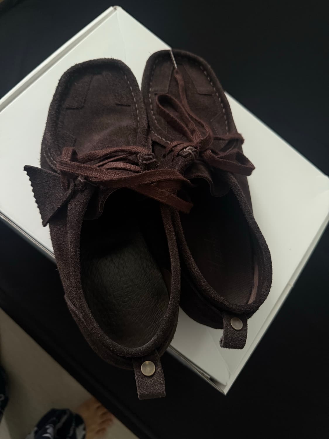 폴리테루 별라비 3사이즈 다크브라운 상품이미지3