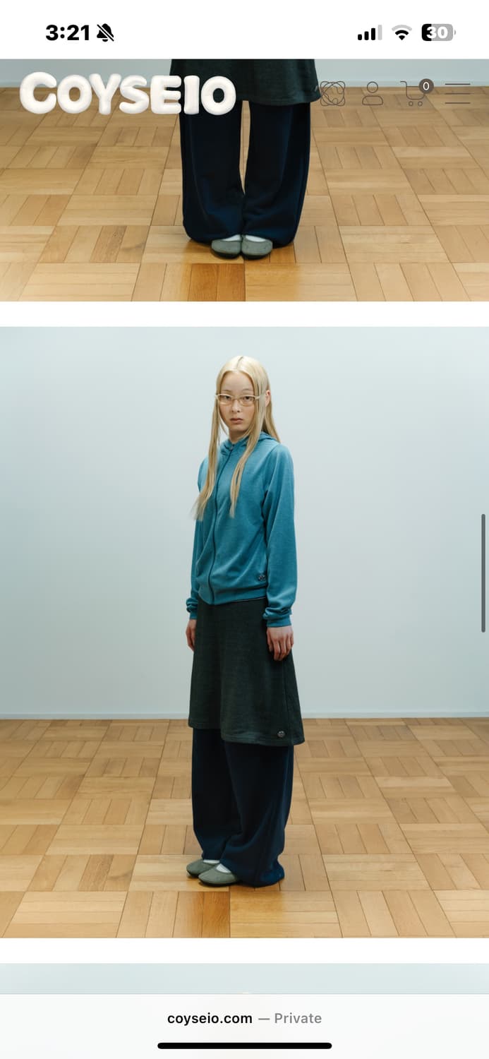 코이세이오 Coyseio 038 STRIPE ZIP-UP BLUE 상품이미지2