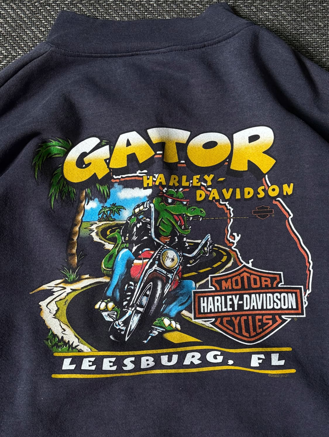 할리 데이비슨 플레임 슬리브 스웻 집업 자켓 (105-110) 상품이미지9