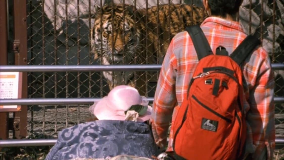 Gregory vintage red back pack 상품이미지1