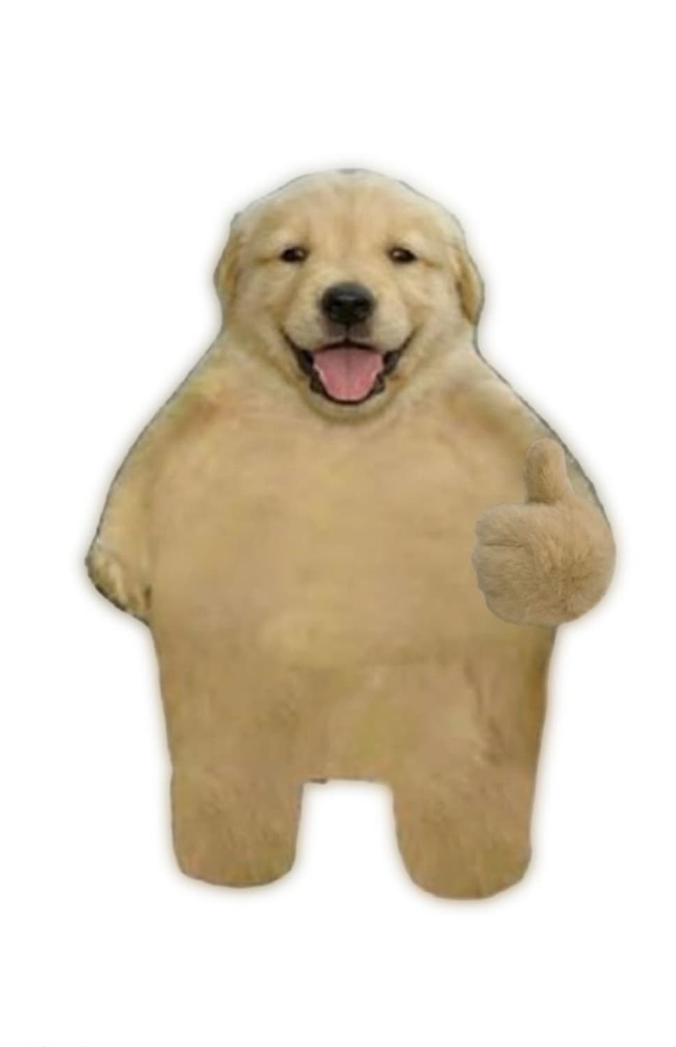 사랑하다 빈티지 빅포니 후드집업 및 카라티 신상 안내 상품이미지1