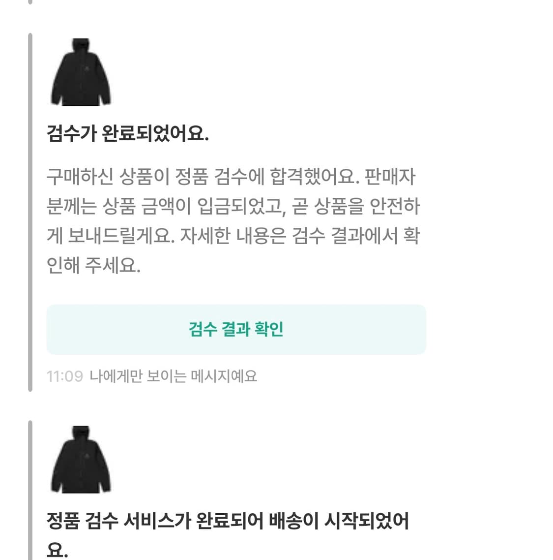 아크테릭스 스쿼미시 후디 L 상품이미지6