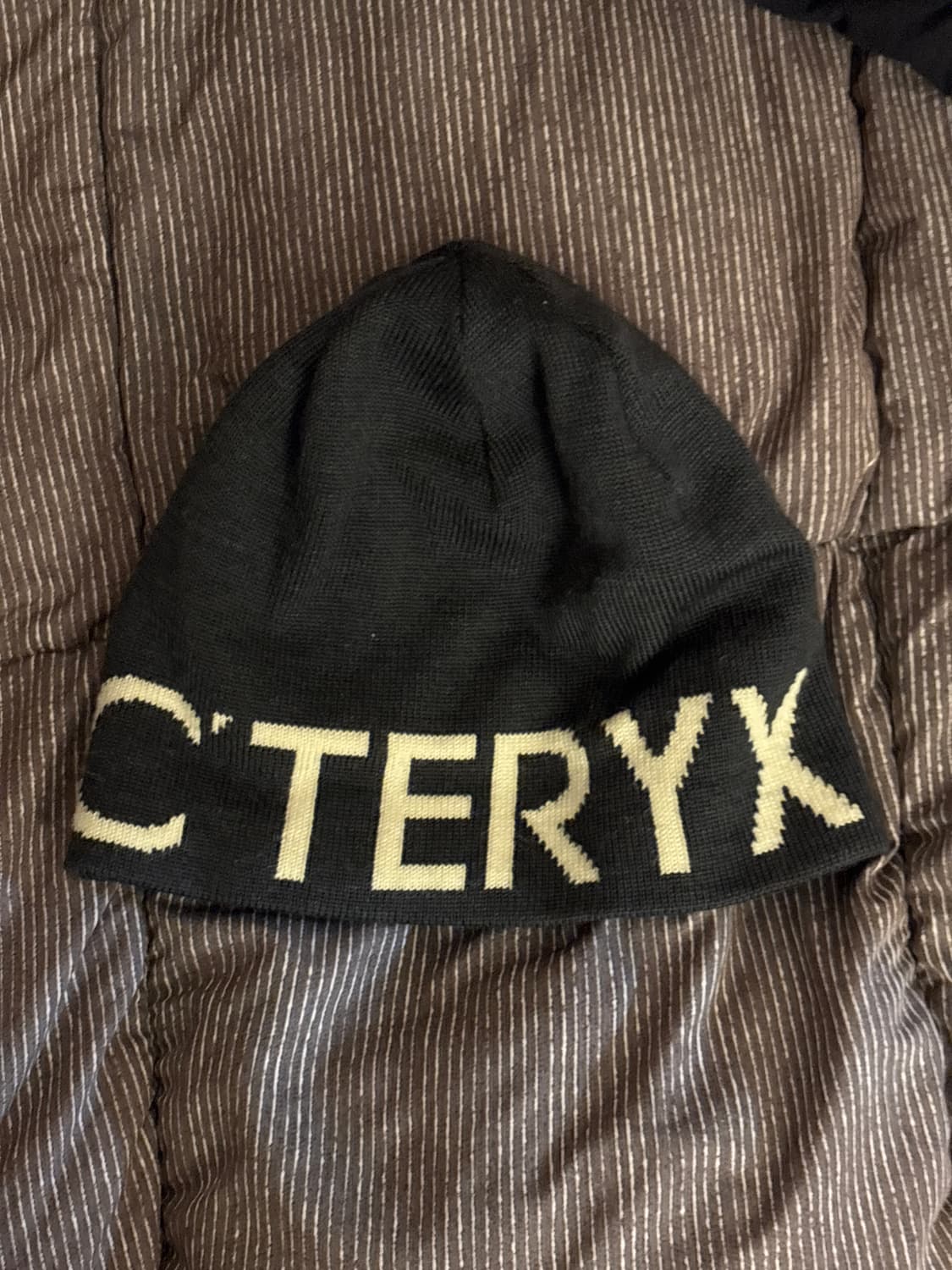 아크테릭스 비니 상품이미지1