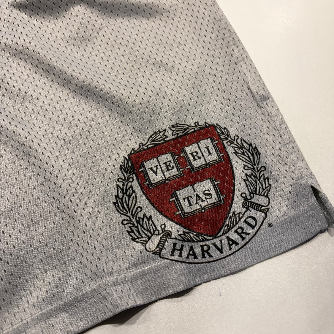 [M] 챔피온 하버드 메쉬 반바지 그레이 D21 상품이미지3