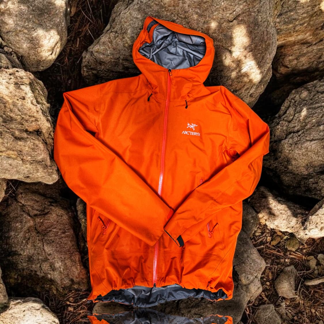 (L) 아크테릭스 베타 LT 페놈 상품이미지1