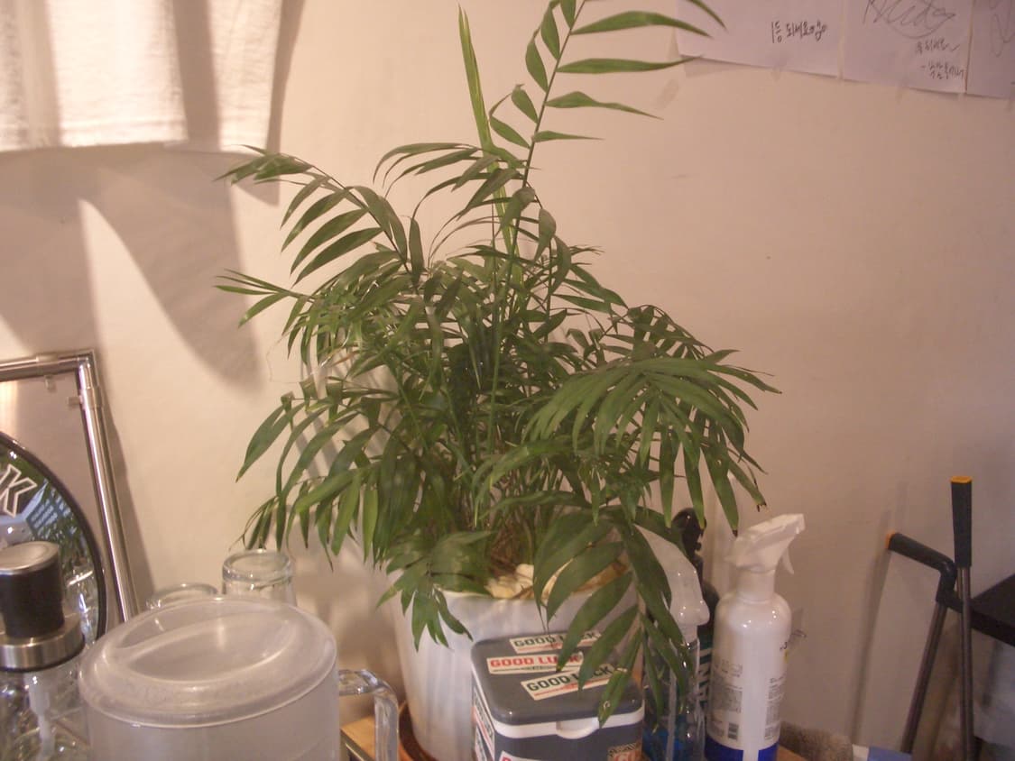 Casio Exilim 카시오 엑슬림 ex-z30 빈티지 디카 상품이미지8