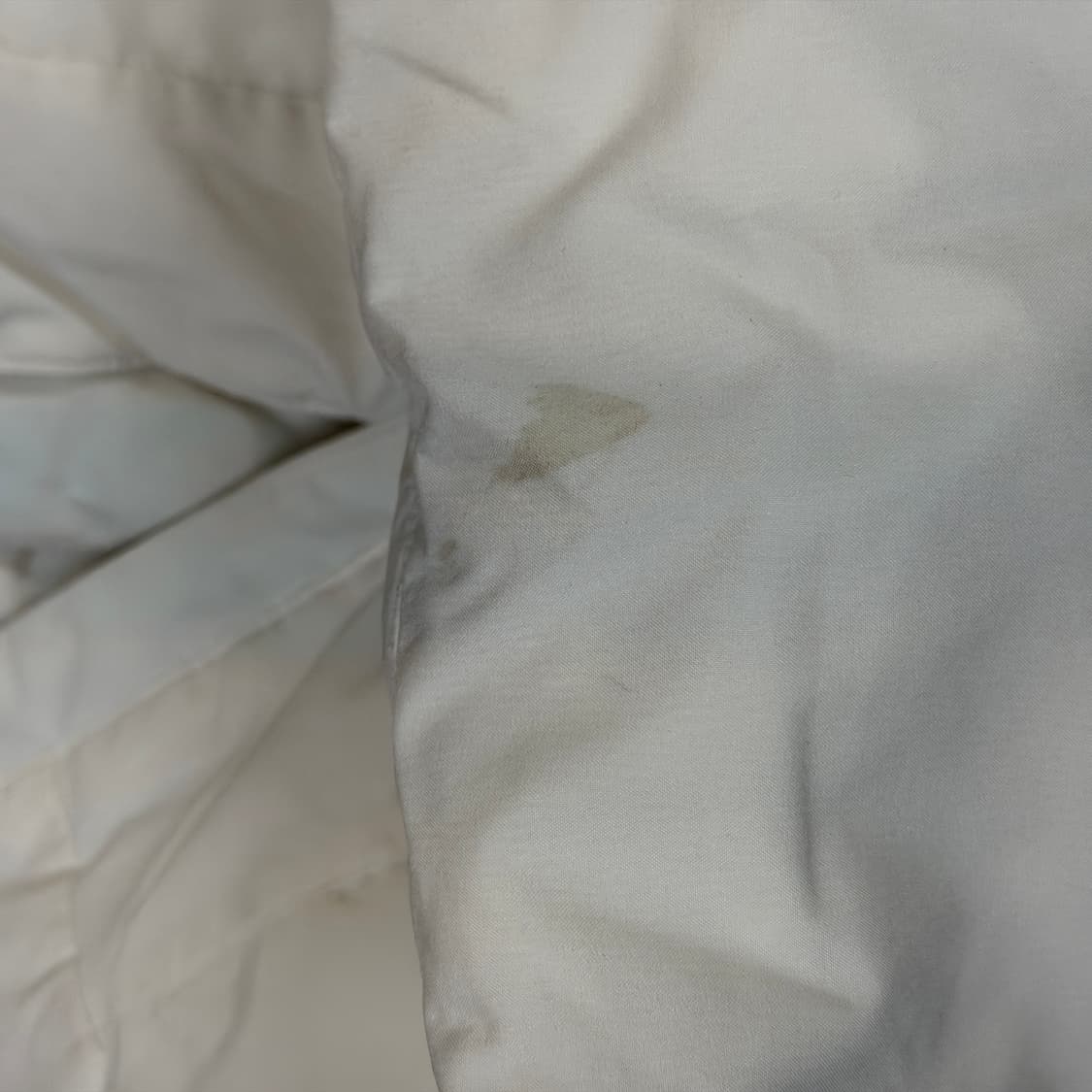 ✨ (바배) 내셔널 지오그래픽 화이트 롱패딩  상품이미지6