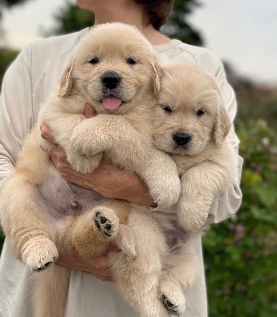 서x아 님 결제창 상품이미지1