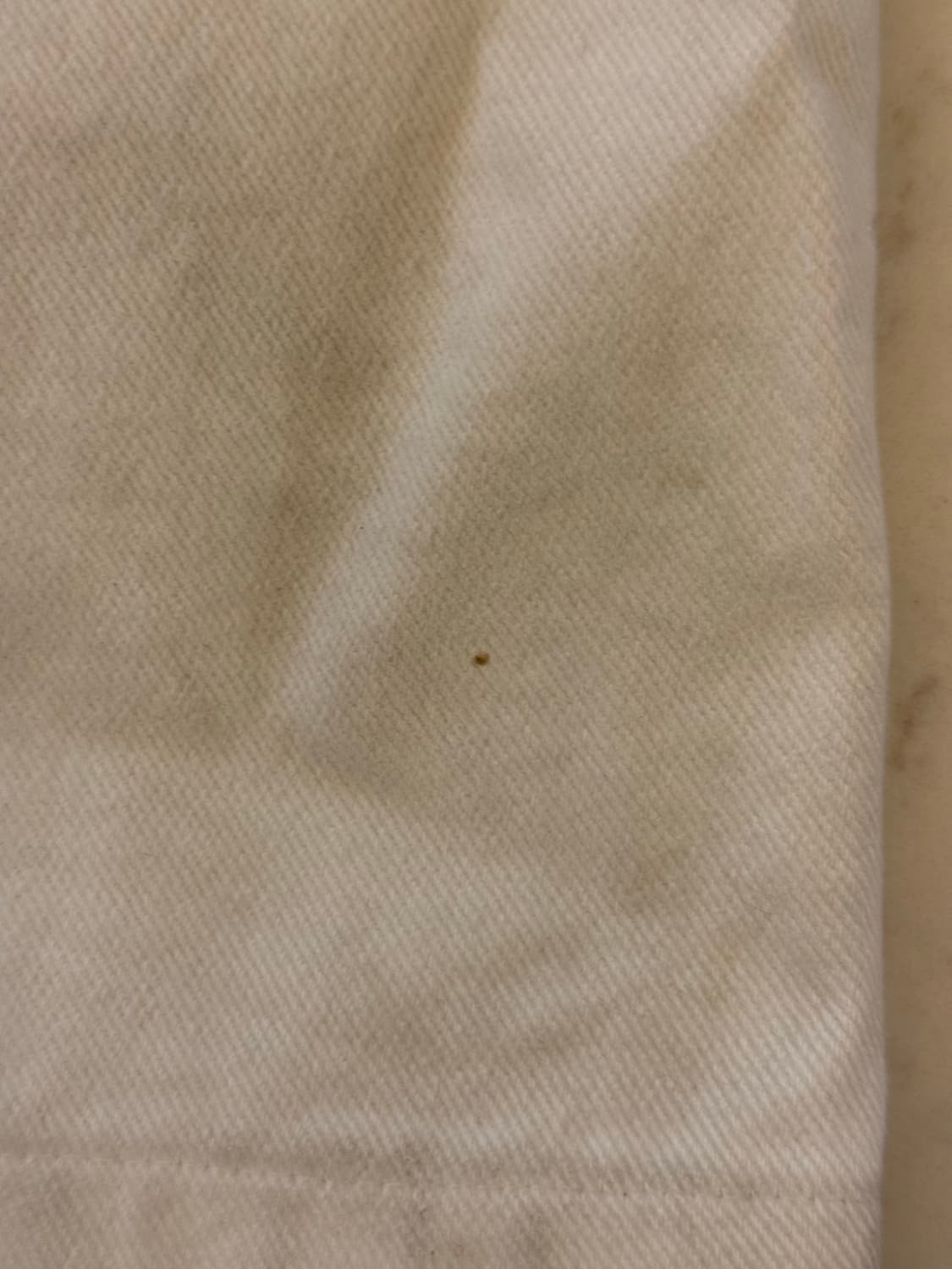 [초우주매물] 코인서울 & 노쿨러스 카펜더 2 사이즈 상품이미지4