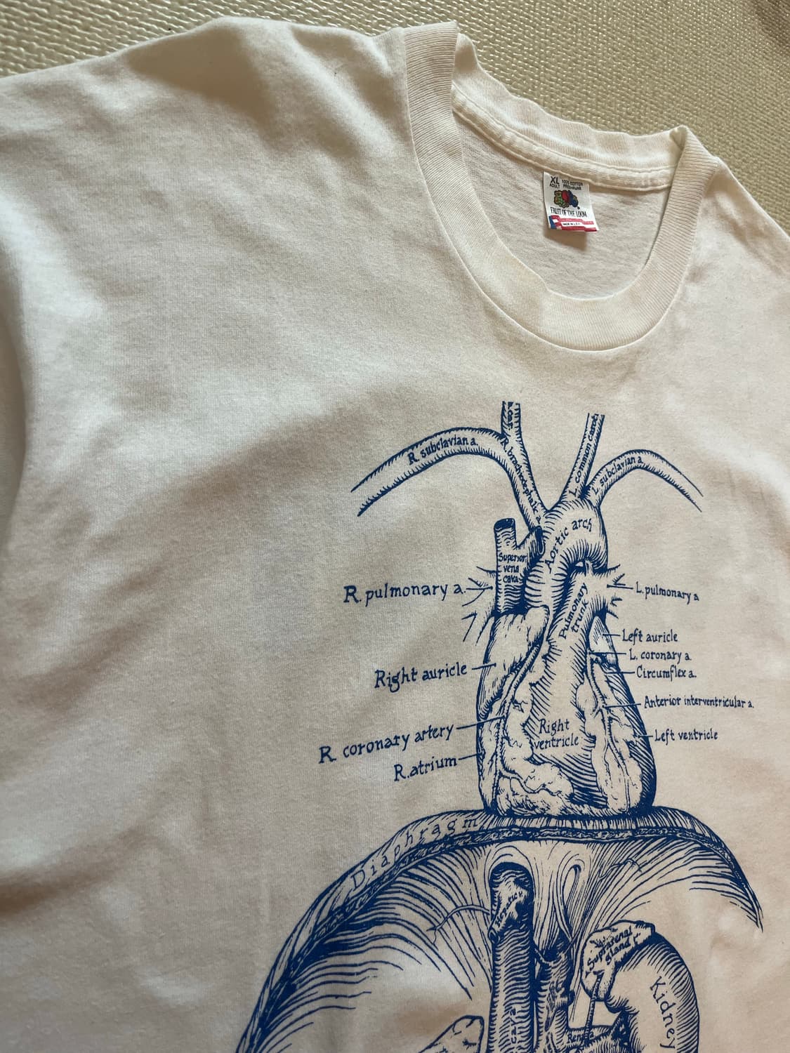 90s VINTAGE NDRI ANATOMY PRINT TEE USA 상품이미지3