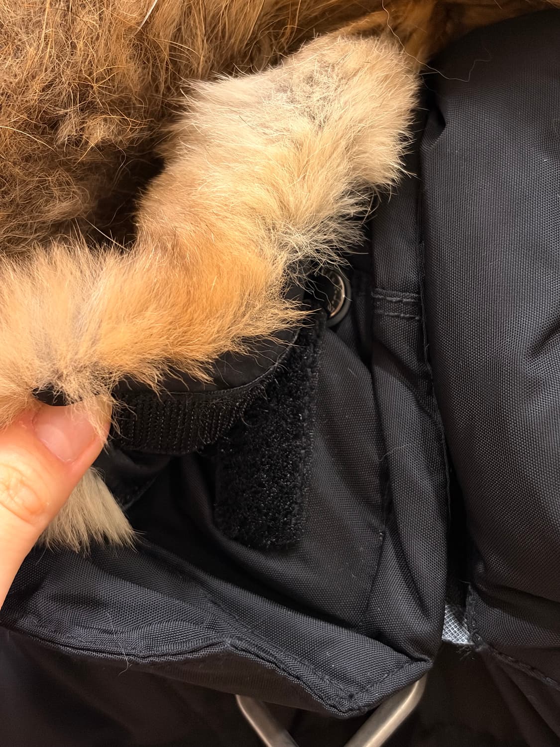 파라점퍼스 롱패딩 상품이미지4