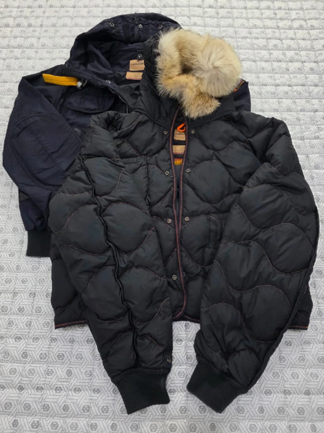 파라점퍼스 고피 마스터피스 패딩 FREE 상품이미지1