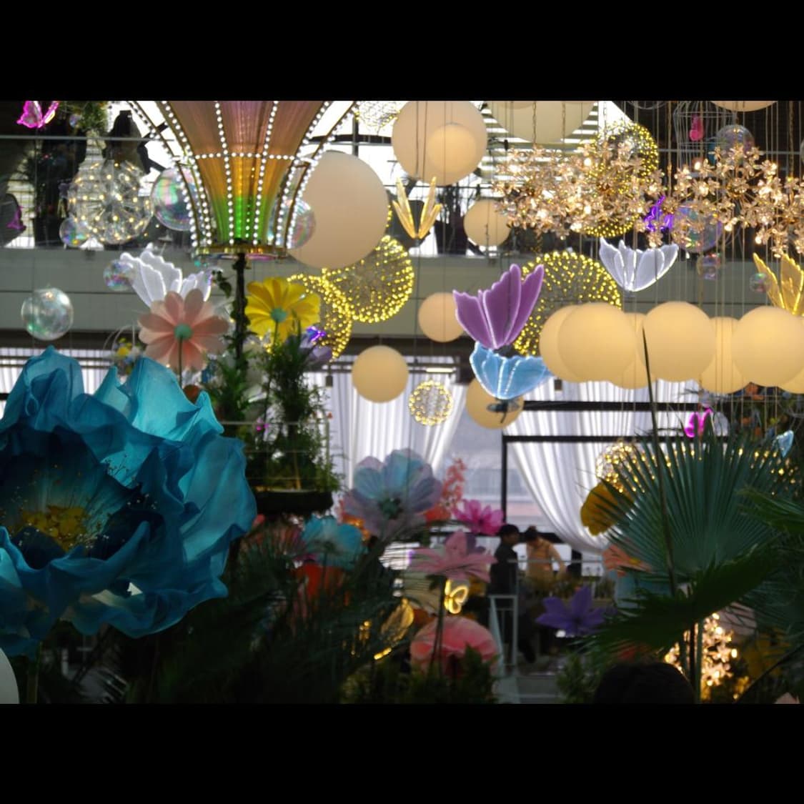 작례⭕️ ✨뽀용  소프트 포커스 펜탁스 옵티오 VS20  상품이미지7