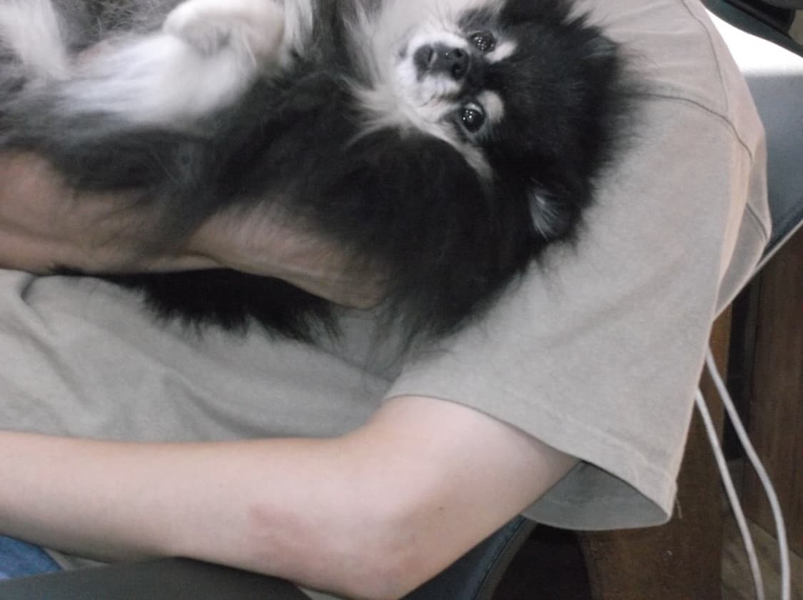 (한글) 후지필름 파인픽스 JX700 디카 상품이미지8