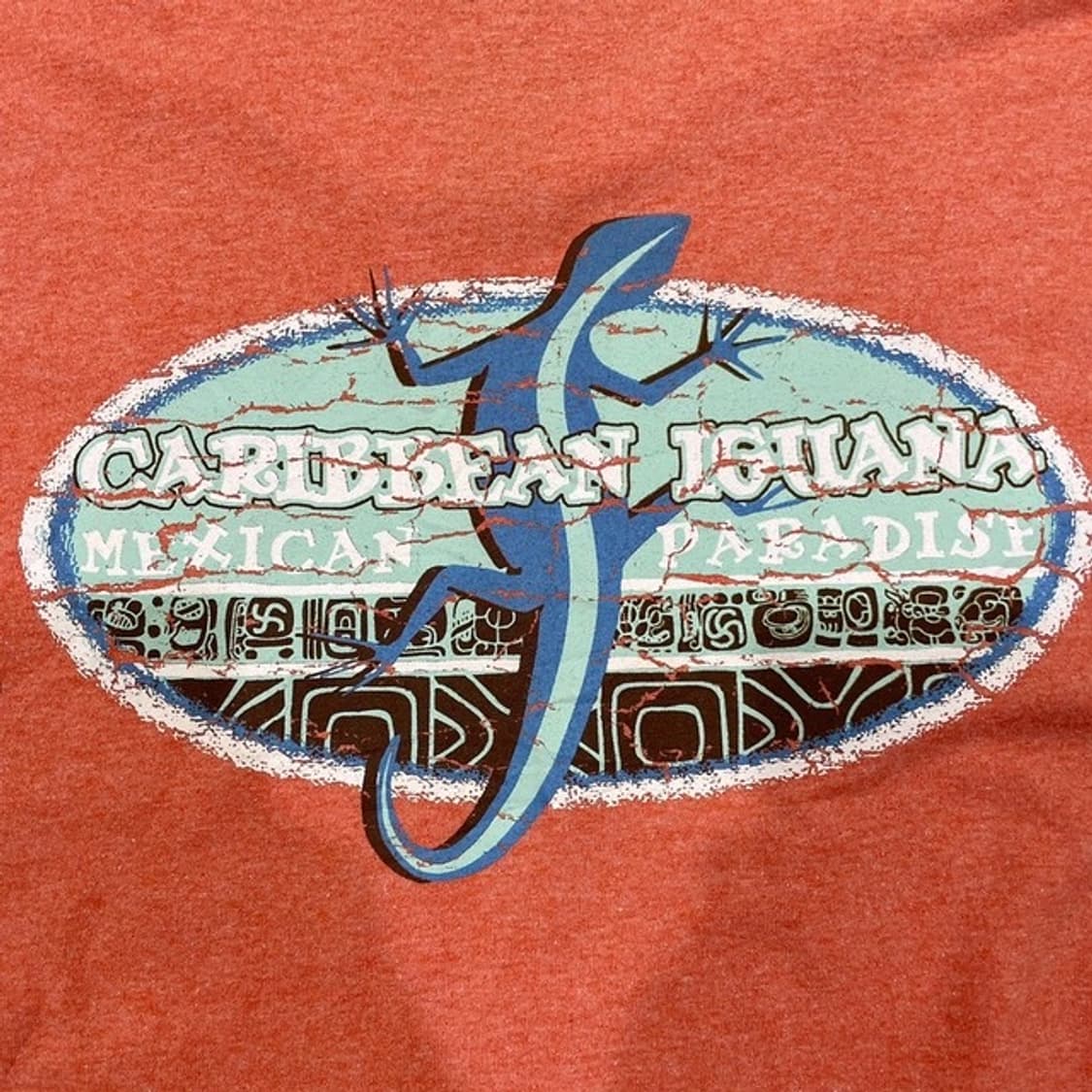 Mare Blue 이구아나 티셔츠 (XL)  상품이미지2