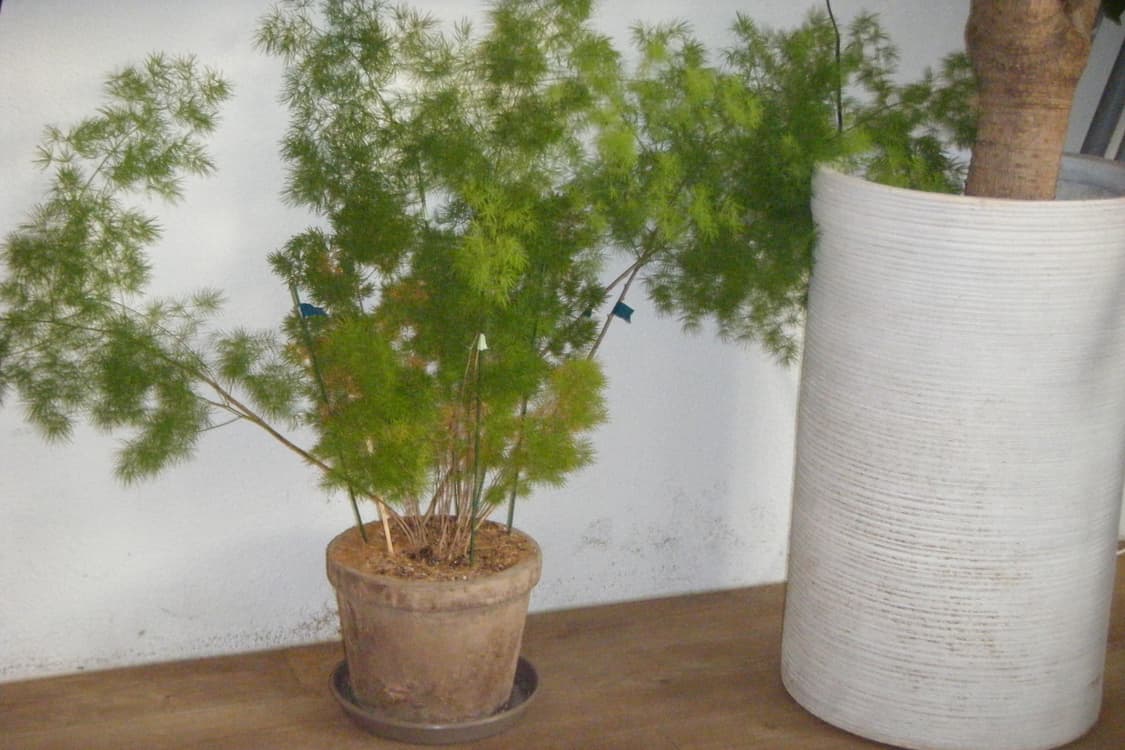 [작례✅]  후지필름 파인픽스 Z10FD 디지털카메라 상품이미지8