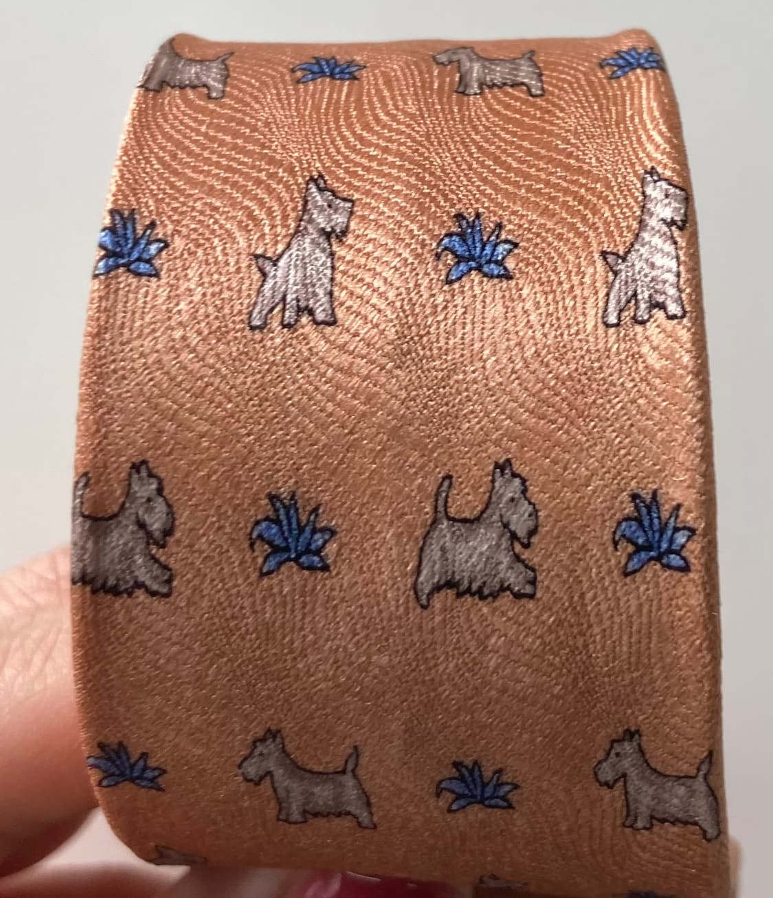 피에르가르뎅 넥타이 상품이미지9