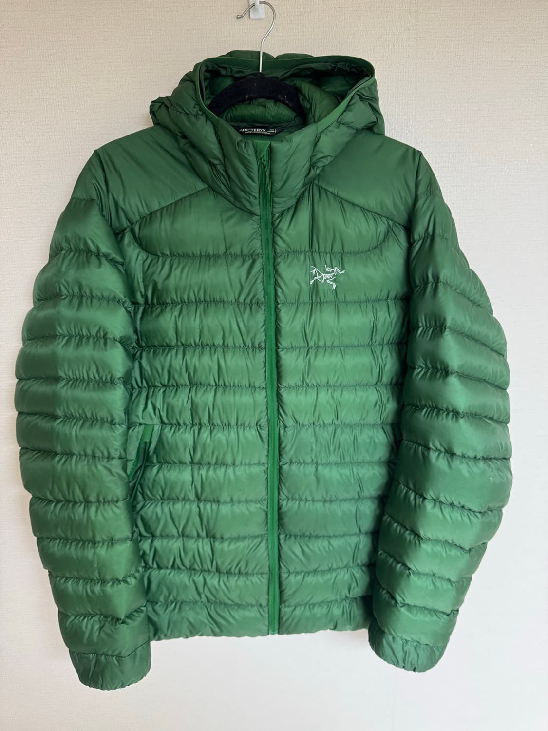 L 아크테릭스 세륨 LT 후디 패딩 캐년그린 프랭크오션 상품이미지1