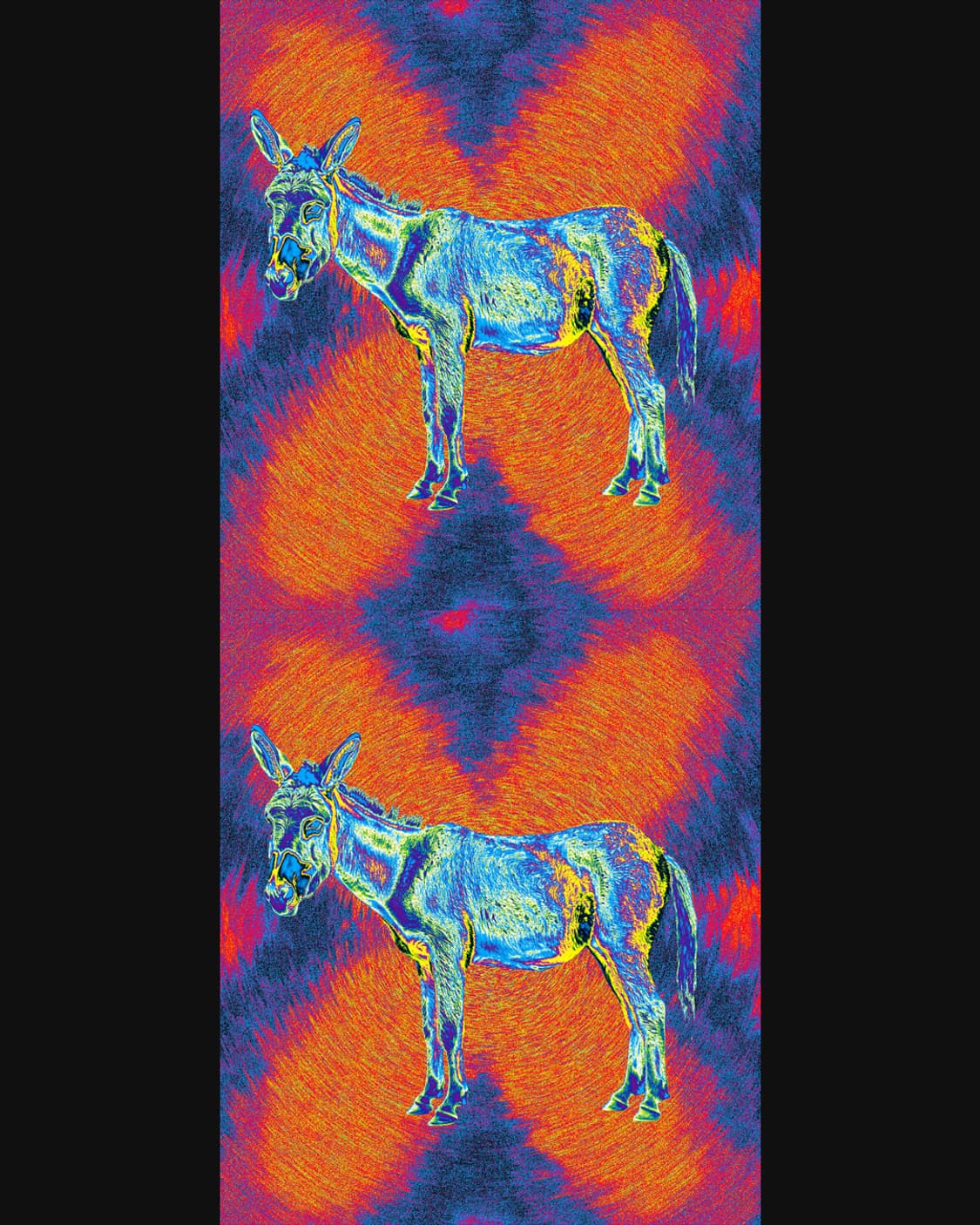 Donkey 상품이미지2