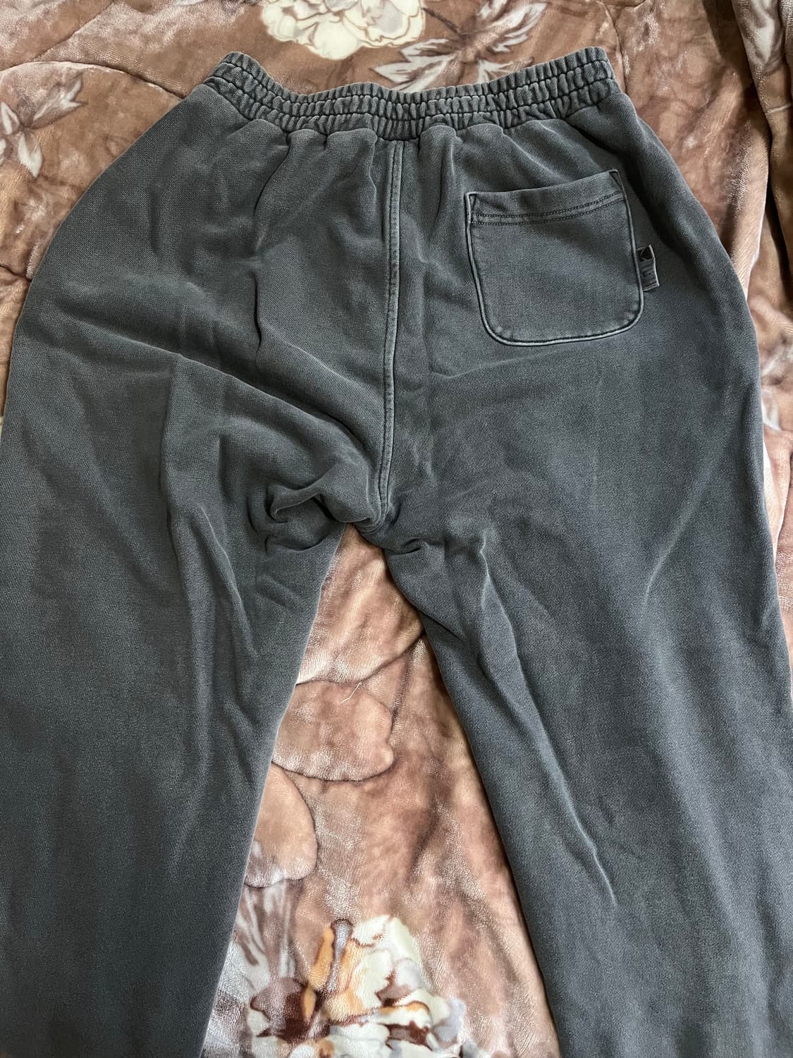 코닥 카메라 클럽 맨투맨 셋업 상품이미지4