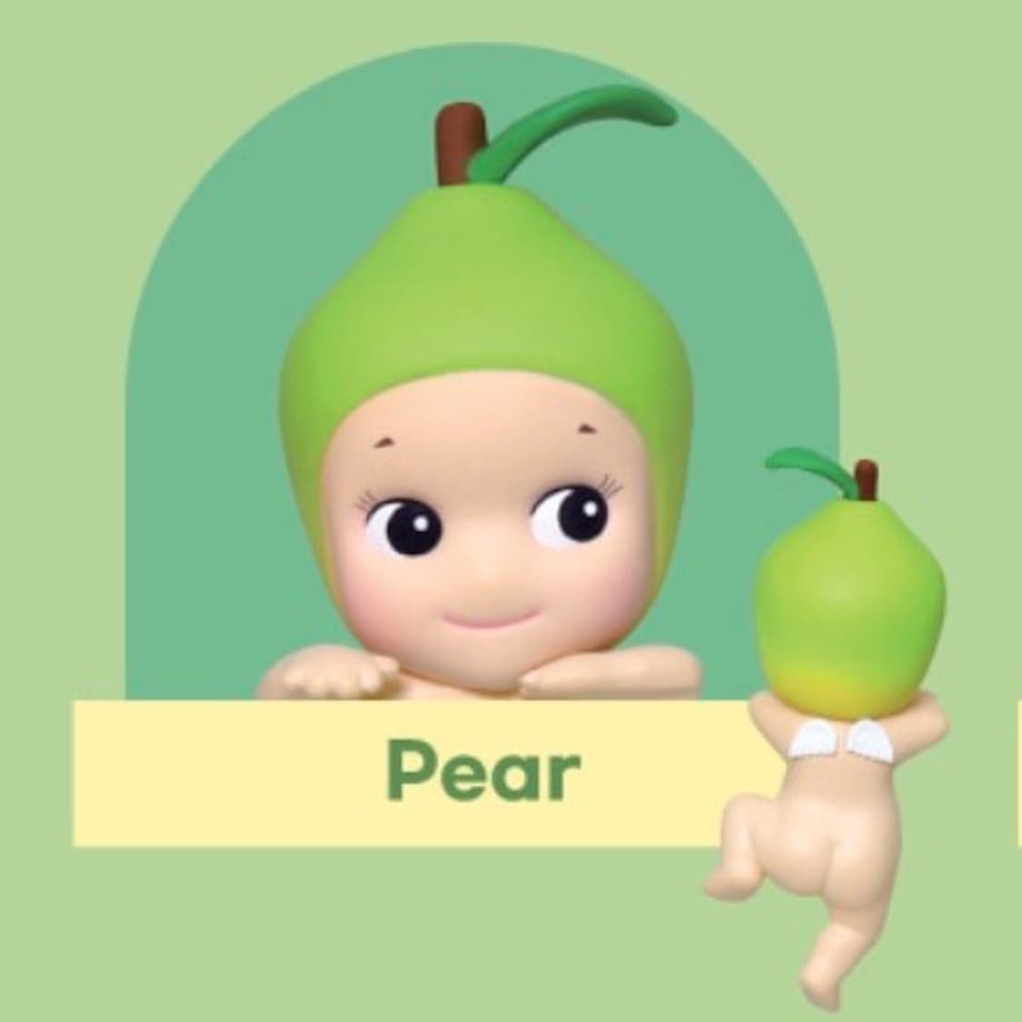 소니엔젤 하베스트 히퍼 배 pear 상품이미지4