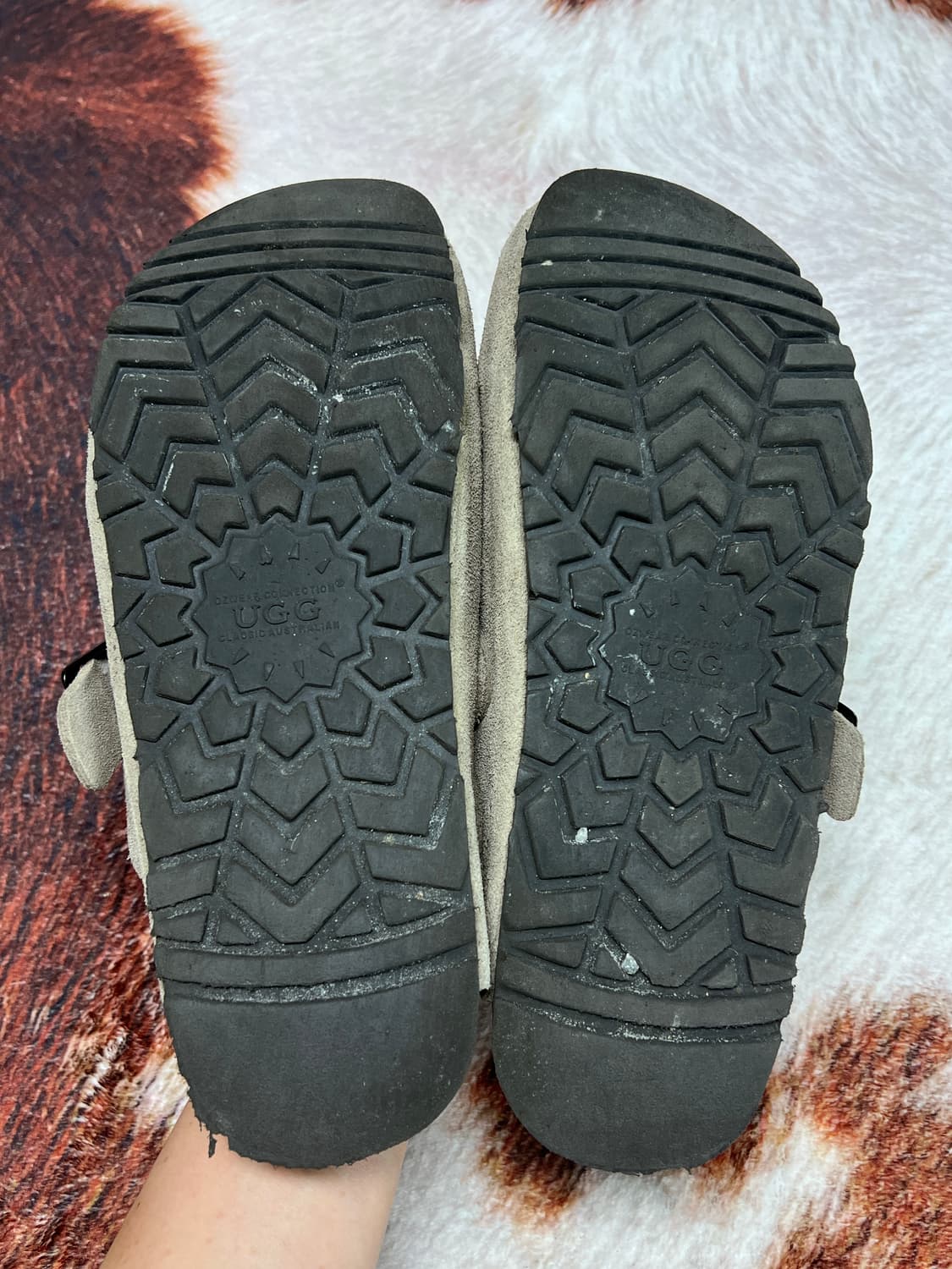 UGG 보스턴 타우페 41(265) 상품이미지4