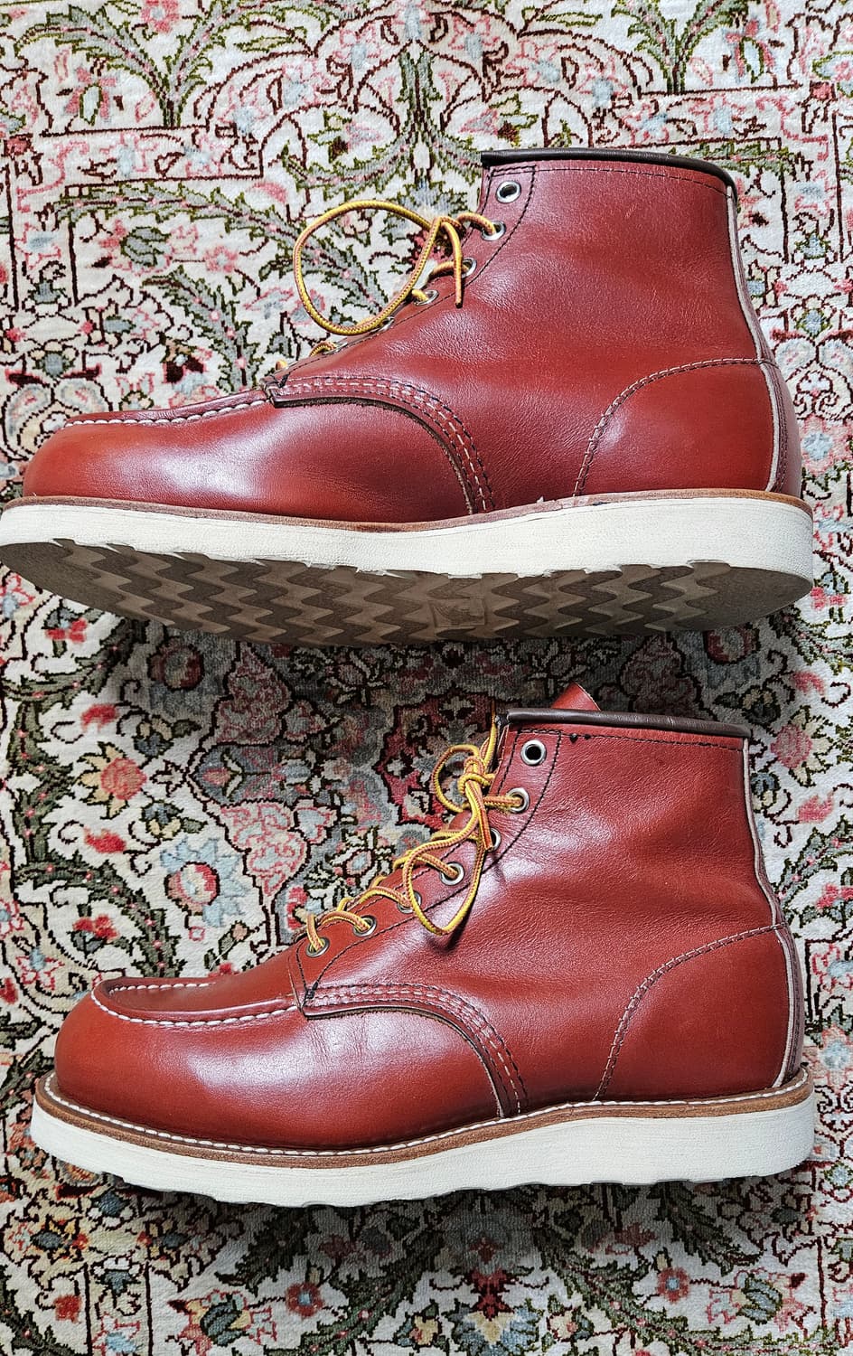 레드윙 8875 8.5E 풀박스 슈트리 케어용품 상품이미지2