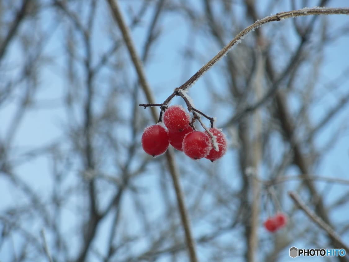 (한국어 지원) 펜탁스 옵티오 PENTAX Optio M50 상품이미지8