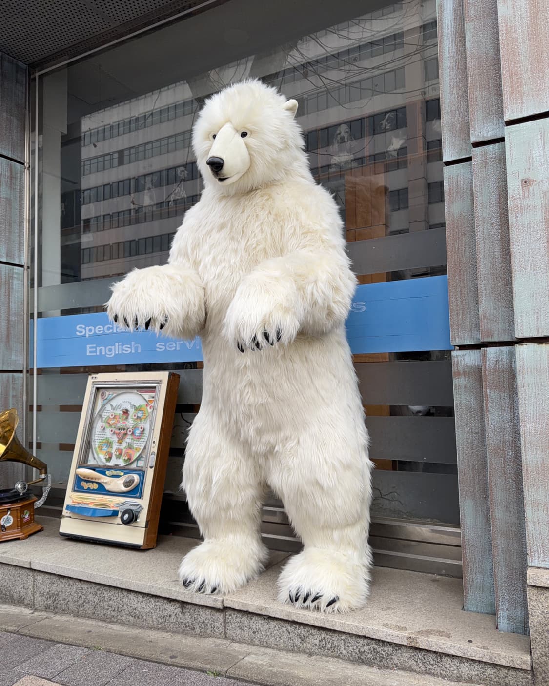 한사토이 2m 대형 북극곰 인형 상품이미지8