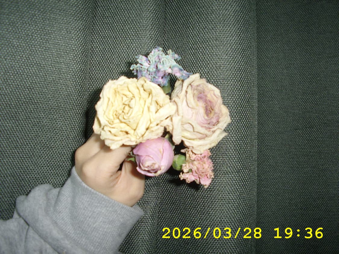 삼성 케녹스 D4 | 작례 O 상품이미지9