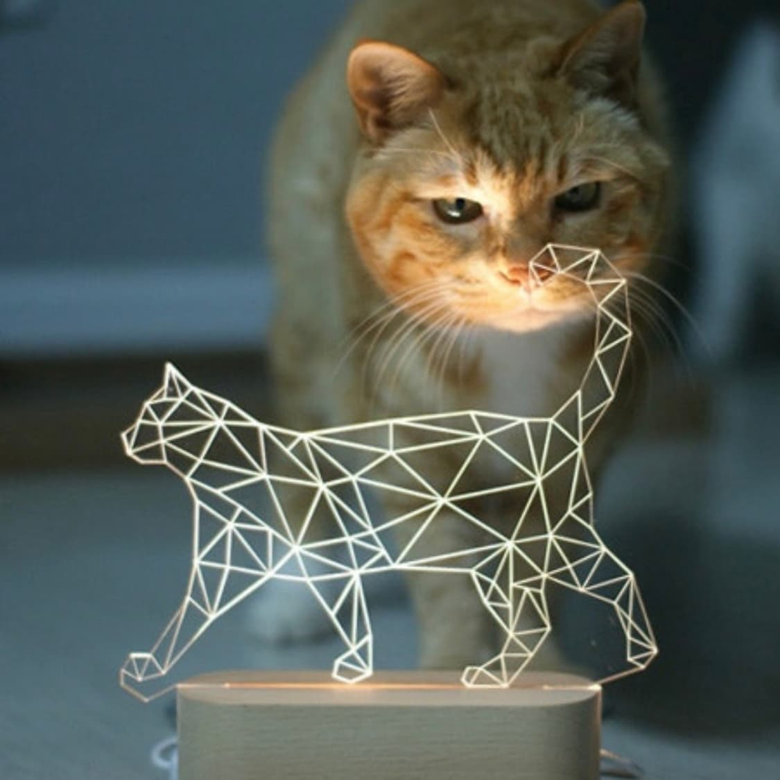 고양이 3D LED 아크릴 무드등 상품이미지3