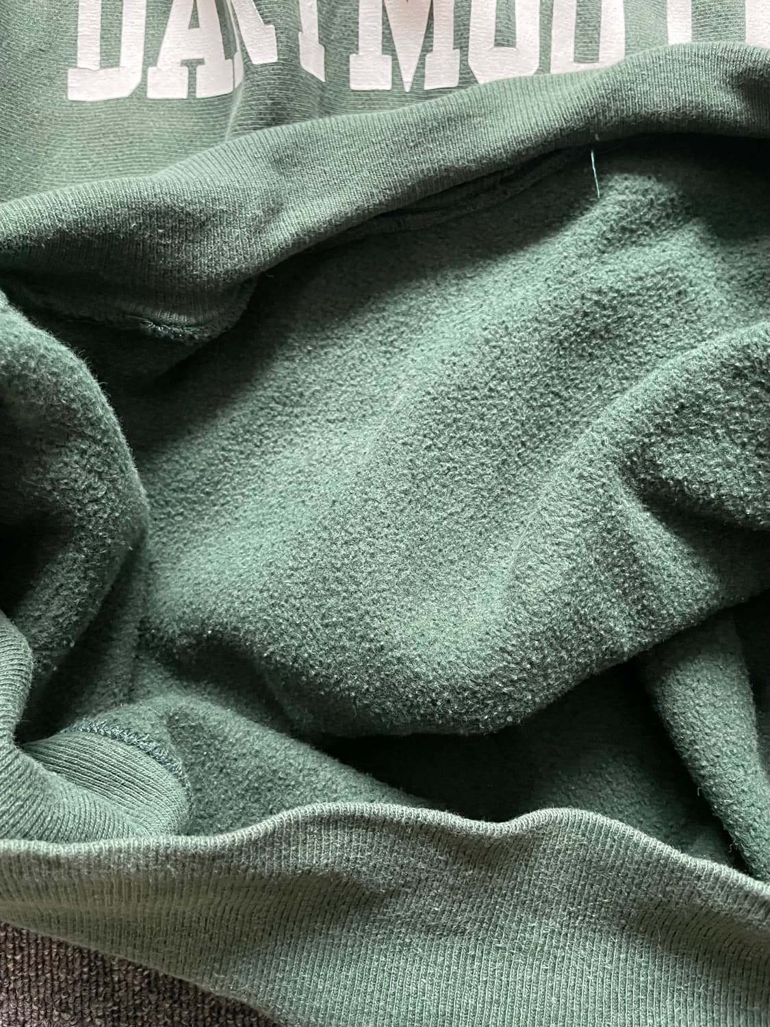 챔피온 리버스위브 다트머스 그린 L 멕시코 상품이미지10