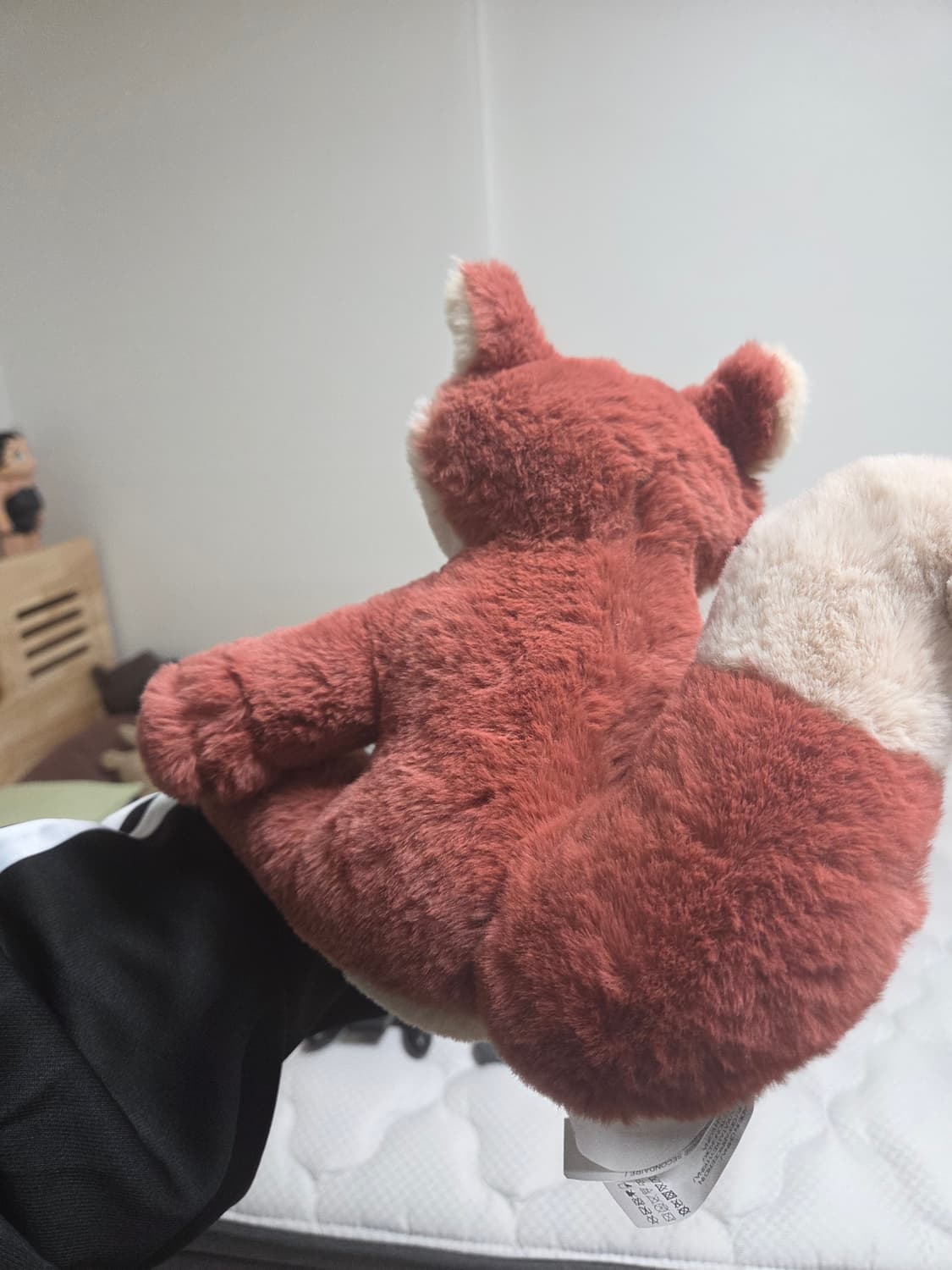 자라 인형 판매합니다~ 상품이미지2