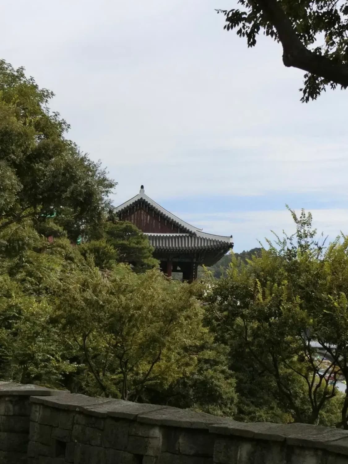 카시오 엑슬림 EX-Z1050 빈티지디카 디지털카메라 상품이미지4