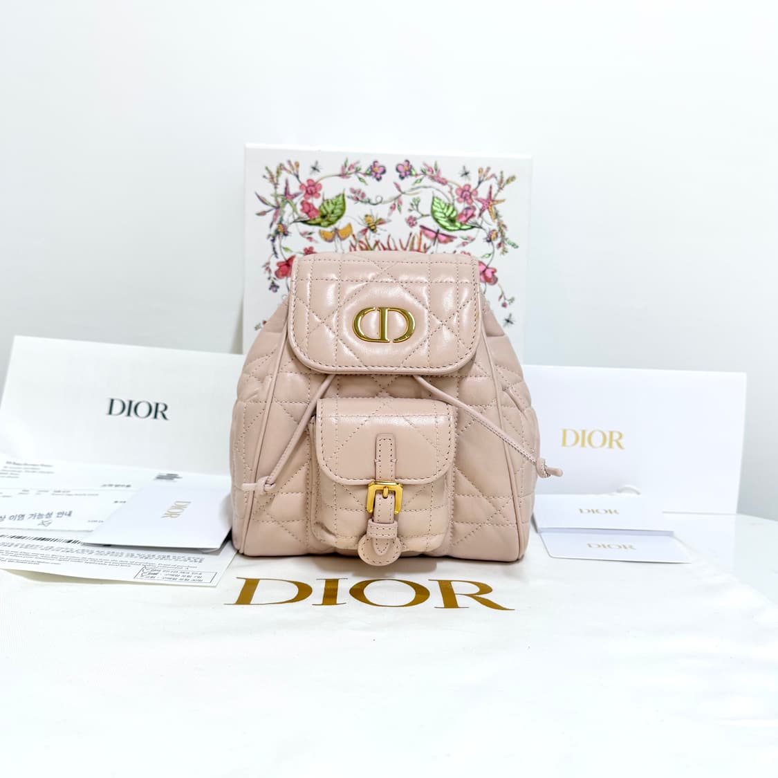 디올 카로 백팩 상품이미지1