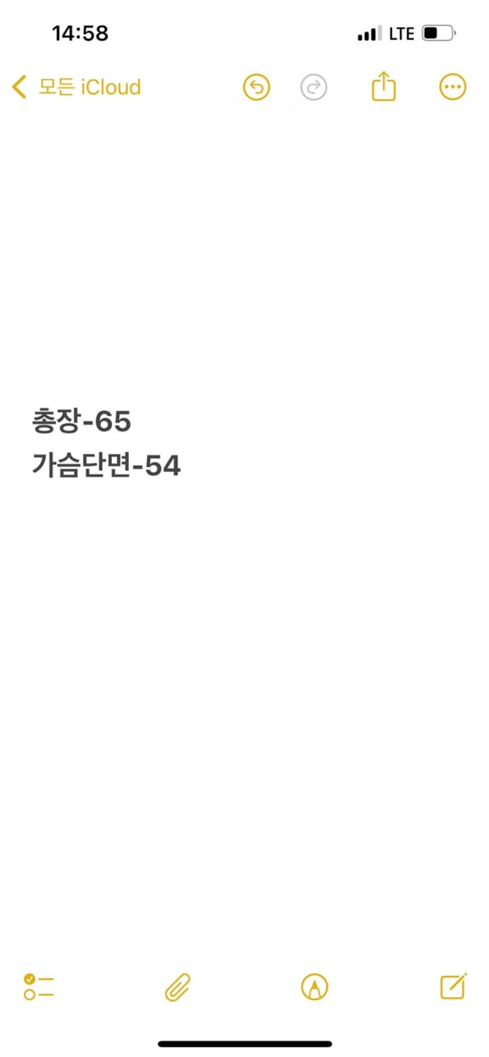 [ 정품/95 ] 노스페이스 써밋시리즈 로체 패딩 b6 상품이미지9