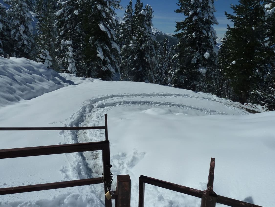 파나소닉 루믹스 DMC-TZ10 (mint) 상품이미지6