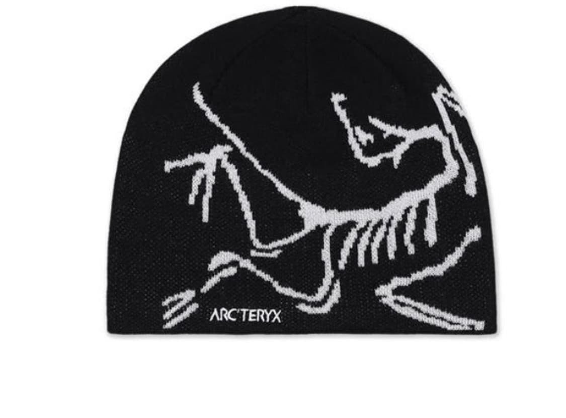 아크테릭스 비니 상품이미지1