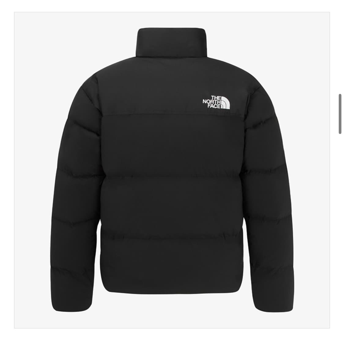 [노스페이스]클라우드 눕시 다운 자켓 (RDS) NJ1DR62A 상품이미지3