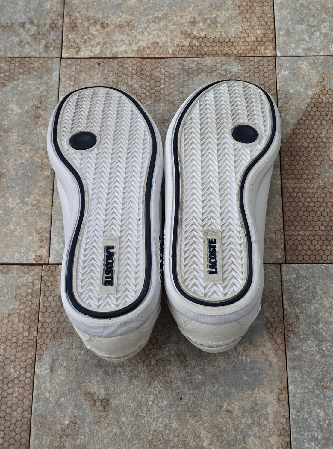 (230)라코스테 그레쥬에이트 상품이미지9